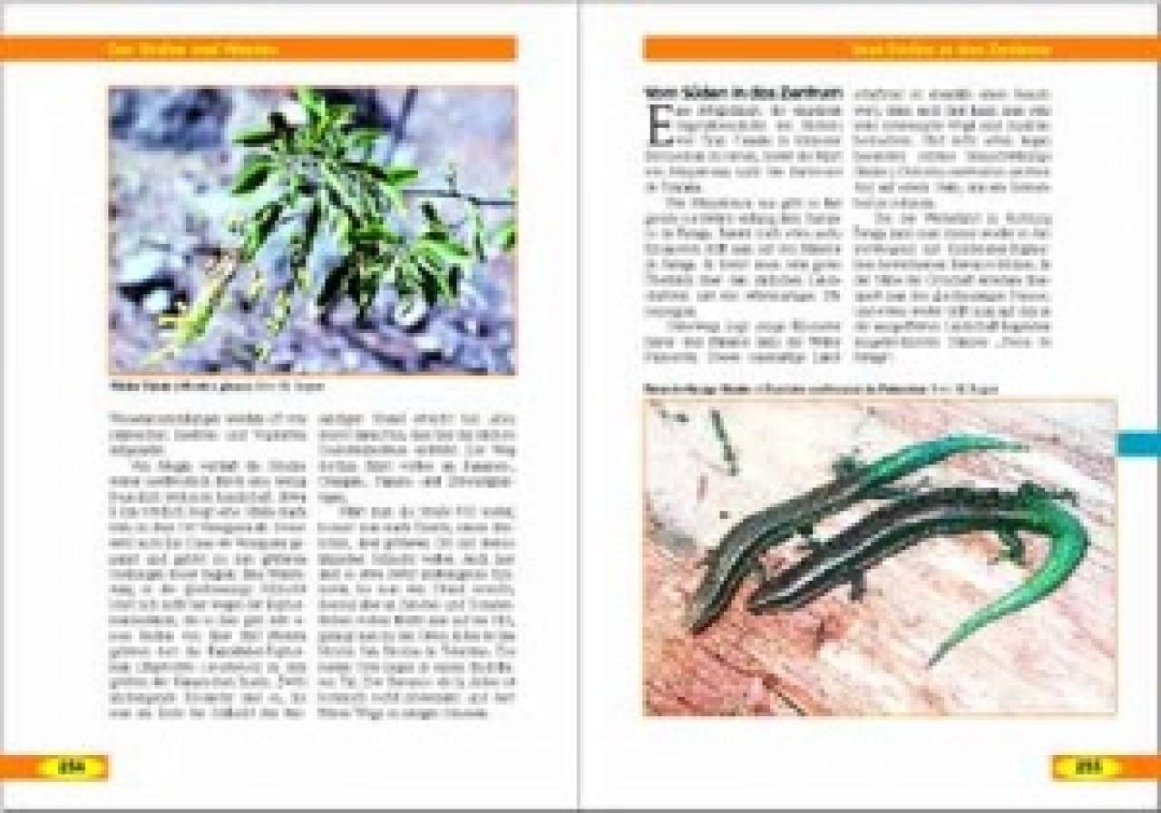 Kanarische Inseln – Naturreiseführer